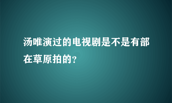 汤唯演过的电视剧是不是有部在草原拍的？