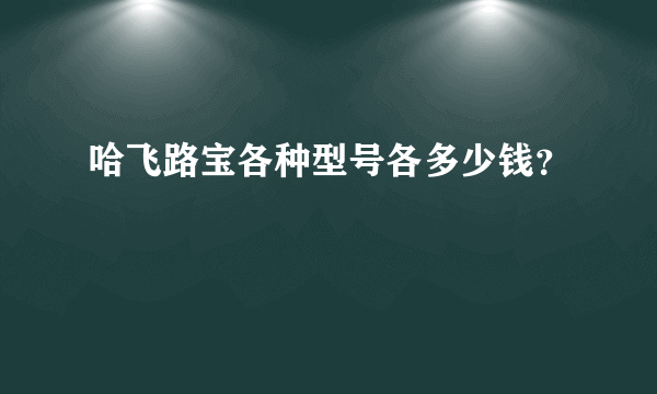 哈飞路宝各种型号各多少钱？