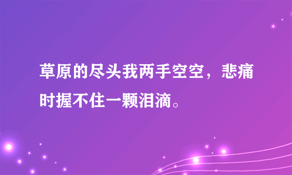 草原的尽头我两手空空，悲痛时握不住一颗泪滴。