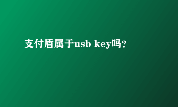 支付盾属于usb key吗？