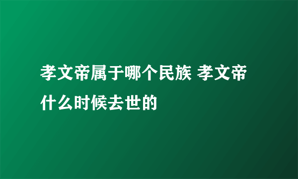 孝文帝属于哪个民族 孝文帝什么时候去世的