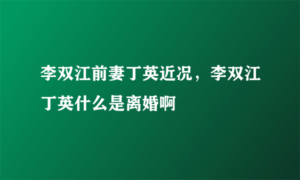 李双江前妻丁英近况，李双江丁英什么是离婚啊