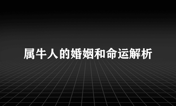 属牛人的婚姻和命运解析