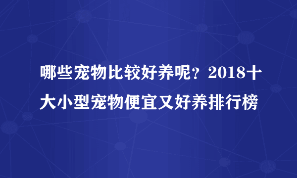 哪些宠物比较好养呢？2018十大小型宠物便宜又好养排行榜