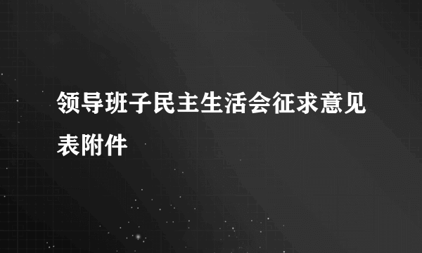 领导班子民主生活会征求意见表附件