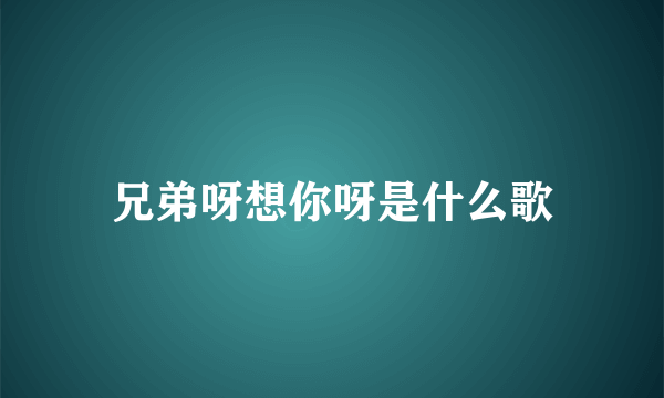 兄弟呀想你呀是什么歌