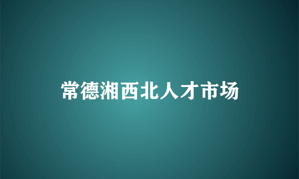 常德湘西北人才市场