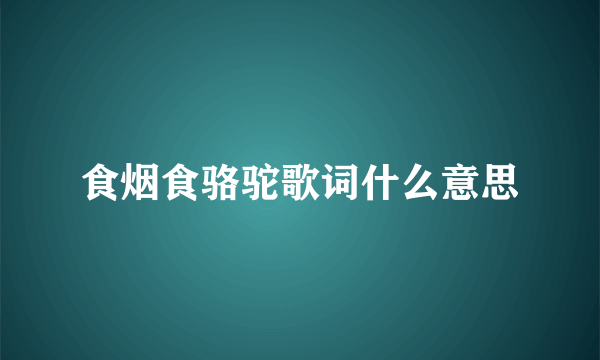 食烟食骆驼歌词什么意思