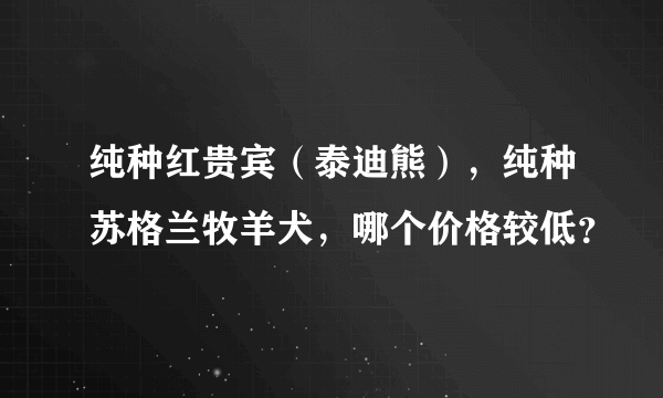 纯种红贵宾（泰迪熊），纯种苏格兰牧羊犬，哪个价格较低？