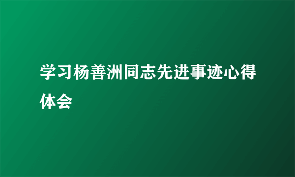 学习杨善洲同志先进事迹心得体会