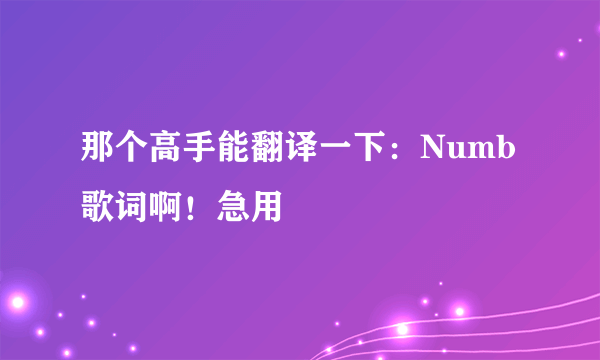 那个高手能翻译一下：Numb歌词啊！急用