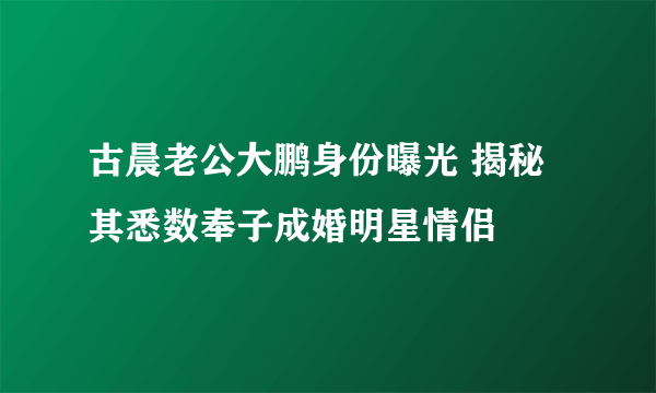 古晨老公大鹏身份曝光 揭秘其悉数奉子成婚明星情侣