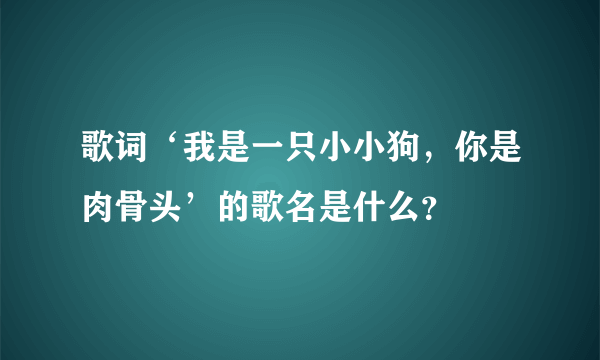 歌词‘我是一只小小狗，你是肉骨头’的歌名是什么？