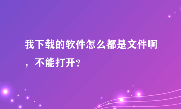 我下载的软件怎么都是文件啊，不能打开？