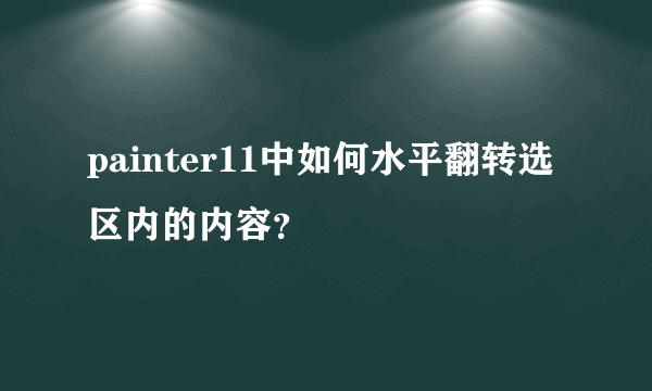 painter11中如何水平翻转选区内的内容？