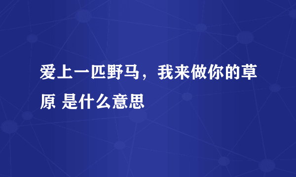 爱上一匹野马，我来做你的草原 是什么意思