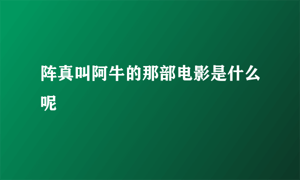 阵真叫阿牛的那部电影是什么呢