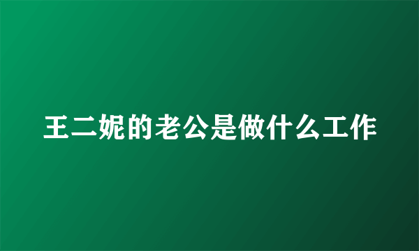 王二妮的老公是做什么工作