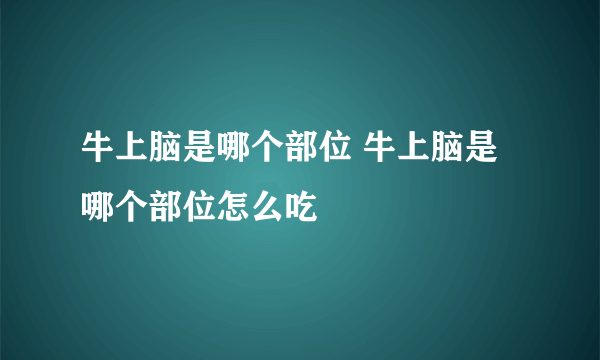 牛上脑是哪个部位 牛上脑是哪个部位怎么吃