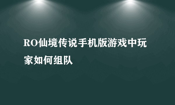 RO仙境传说手机版游戏中玩家如何组队