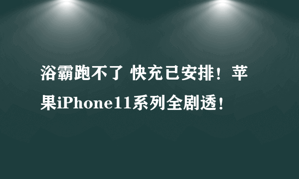 浴霸跑不了 快充已安排！苹果iPhone11系列全剧透！