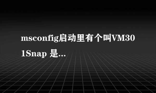 msconfig启动里有个叫VM301Snap 是什么啊？