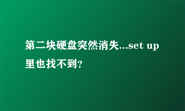 第二块硬盘突然消失...set up里也找不到？