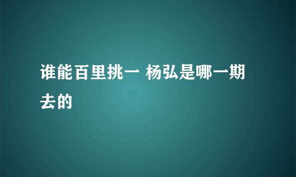 谁能百里挑一 杨弘是哪一期去的