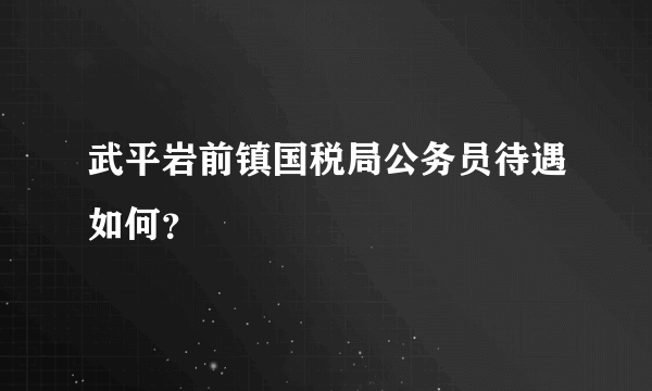 武平岩前镇国税局公务员待遇如何？