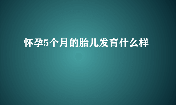 怀孕5个月的胎儿发育什么样