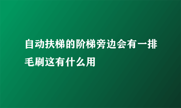 自动扶梯的阶梯旁边会有一排毛刷这有什么用