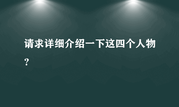 请求详细介绍一下这四个人物？