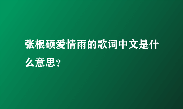 张根硕爱情雨的歌词中文是什么意思？