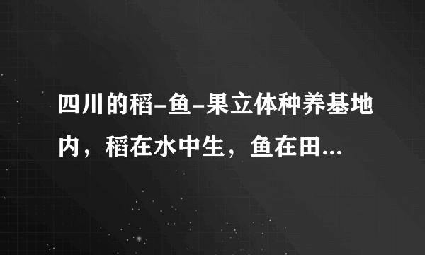 四川的稻-鱼-果立体种养基地内，稻在水中生，鱼在田里游，坡体上则果蔬成林。此生态模式吸引了全国各地农业系统的关注，其中田里游的鱼被泛称为稻花鱼，其生活在水稻田里，取食杂草、稻花及植食性农业害虫等。下列说法错误的是（　　）A.鱼粪可肥田，但其中能量不能流向水稻B.稻花鱼属于该生态系统中的第三营养级C.稻花鱼与植食性农业害虫的种间关系是捕食和竞争D.这种生态模式既提高了能量的利用率，也使能量持续高效地流向对人类最有益的部分