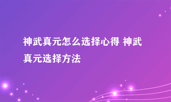 神武真元怎么选择心得 神武真元选择方法