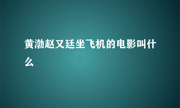 黄渤赵又廷坐飞机的电影叫什么