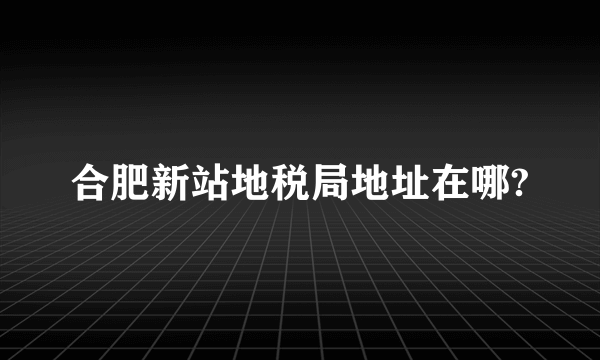 合肥新站地税局地址在哪?