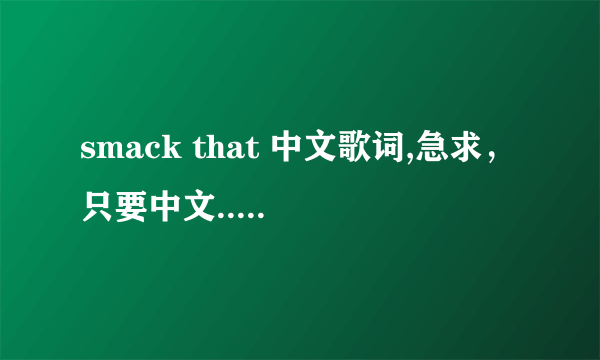 smack that 中文歌词,急求，只要中文.....