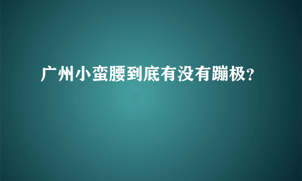 广州小蛮腰到底有没有蹦极？