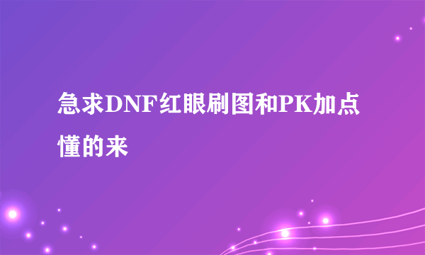 急求DNF红眼刷图和PK加点 懂的来