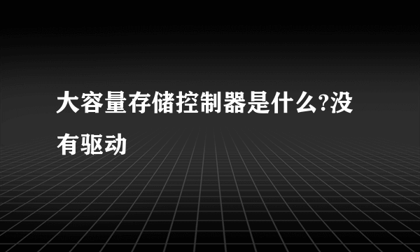 大容量存储控制器是什么?没有驱动