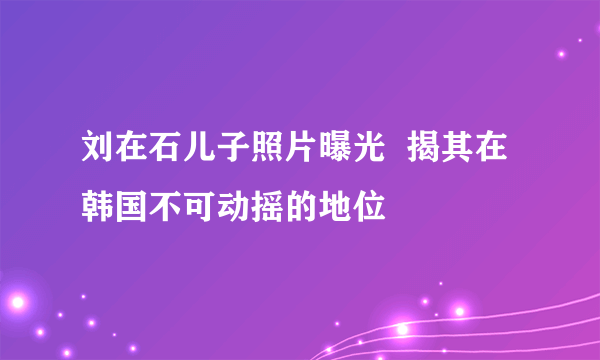 刘在石儿子照片曝光  揭其在韩国不可动摇的地位