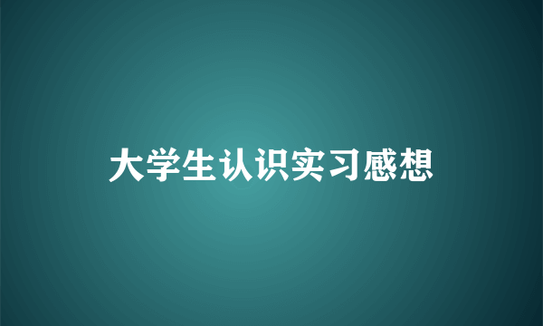 大学生认识实习感想