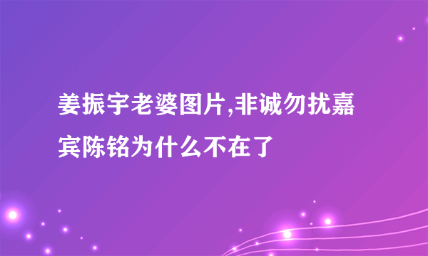 姜振宇老婆图片,非诚勿扰嘉宾陈铭为什么不在了