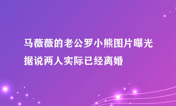 马薇薇的老公罗小熊图片曝光据说两人实际已经离婚