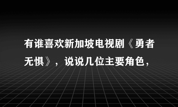 有谁喜欢新加坡电视剧《勇者无惧》，说说几位主要角色，