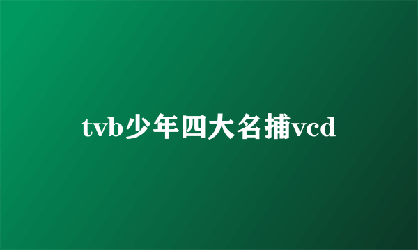 tvb少年四大名捕vcd