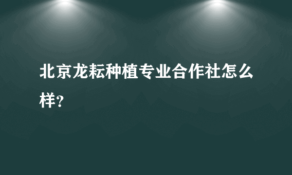 北京龙耘种植专业合作社怎么样？