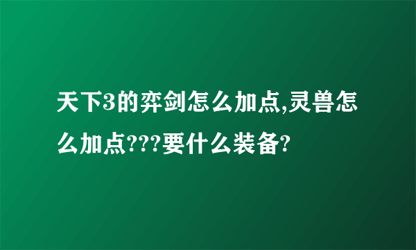 天下3的弈剑怎么加点,灵兽怎么加点???要什么装备?