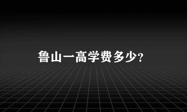 鲁山一高学费多少？